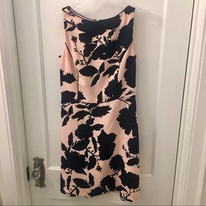 The Limited Pink & Black Flower Dress
